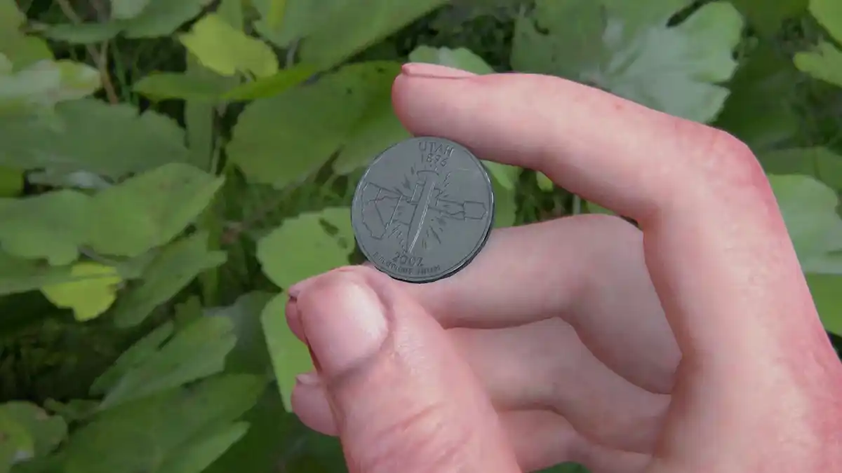 Moedas colecionaveis The Last of Us Part 2 Moedas colecionaveis The Last of Us Part 2