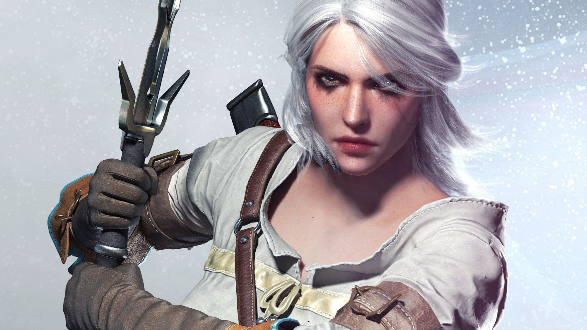 the witcher 3 novo jogo +