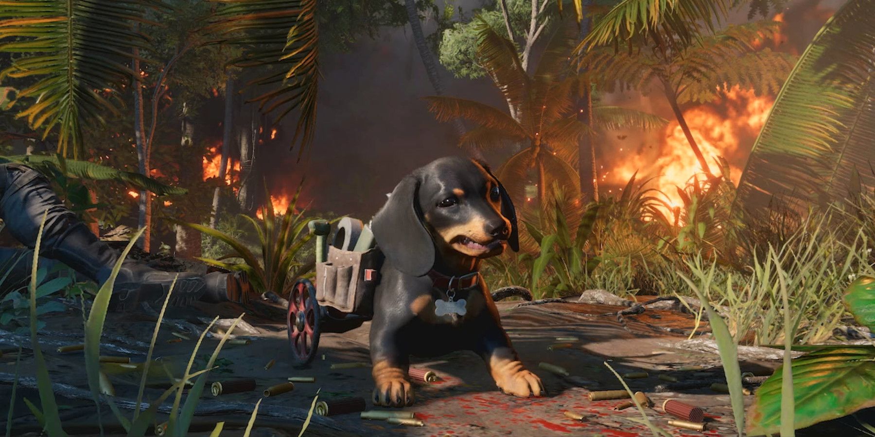 far cry 6 como pegar animais amigos
