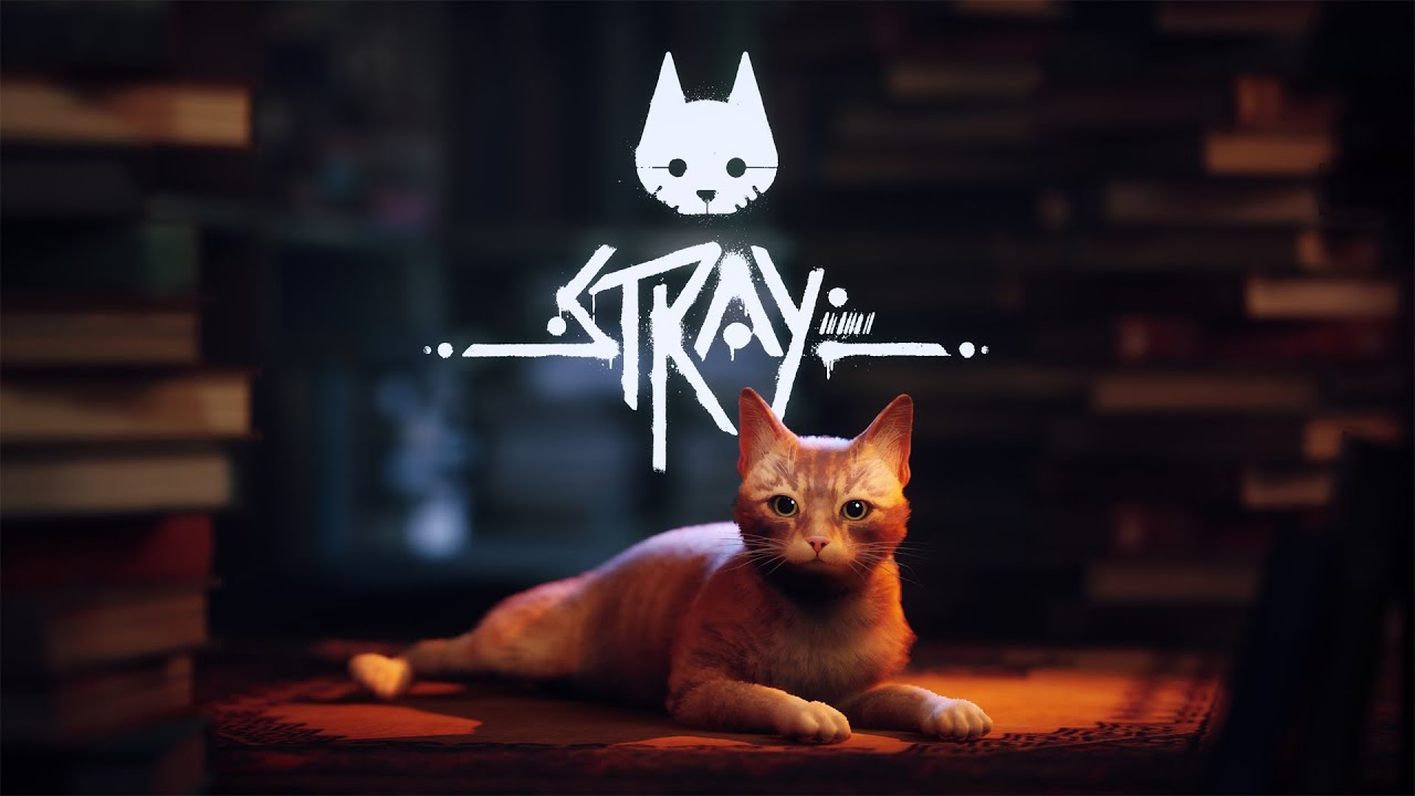 stray data lançamento trailer