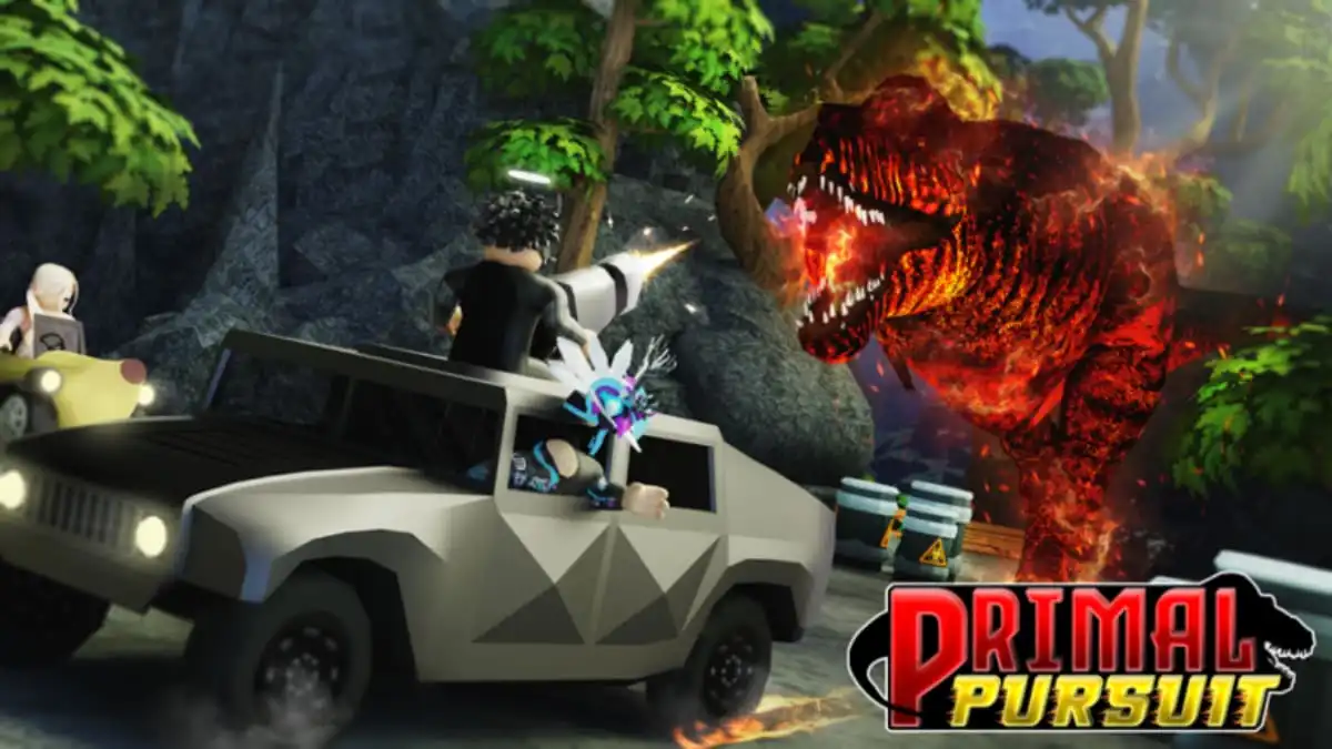 Códigos Primal Pursuit