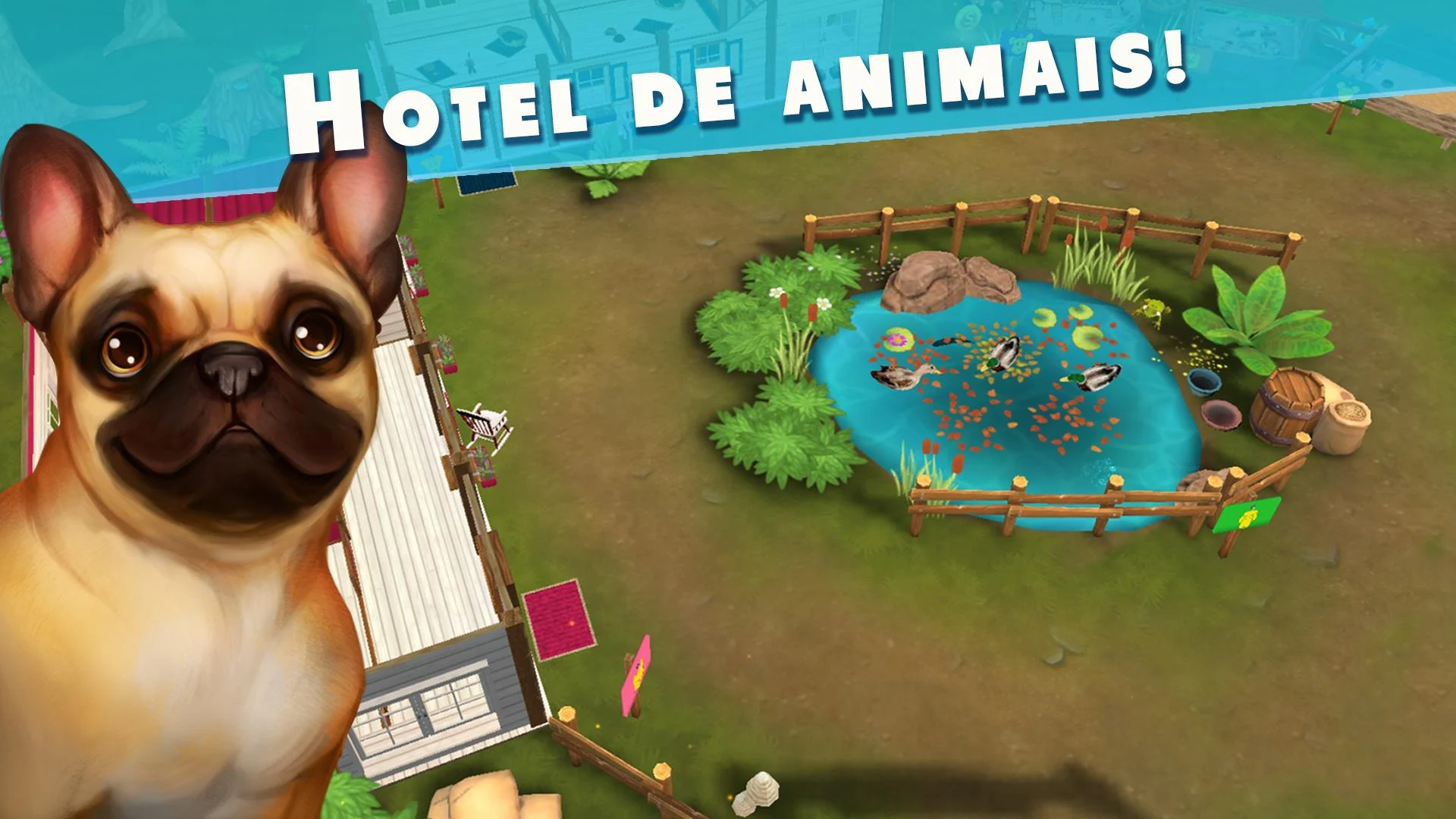 Pet Hotel – Meu hotel animal