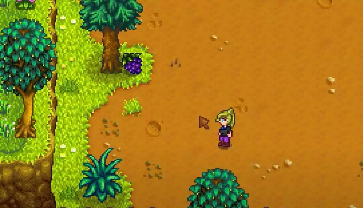 Stardew Valley Onde encontrar uvas
