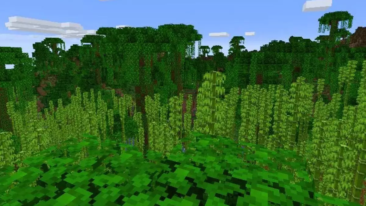 Biomas Minecraft Selva