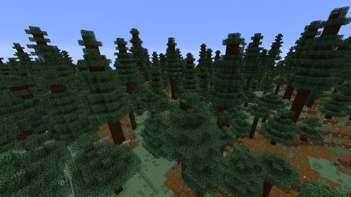 Biomas Minecraft Taiga