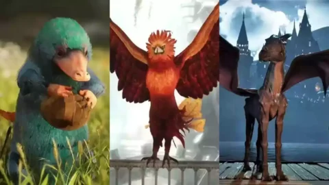 Hogwarts Legacy Todos os Animais Fantásticos explicados