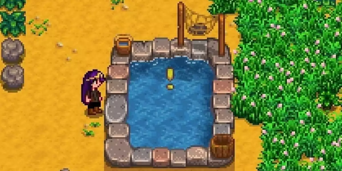 Stardew Valley Criação de tanque de peixes