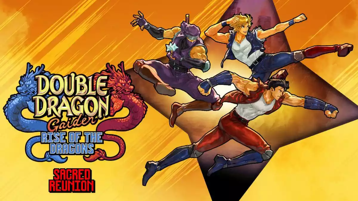 Double Dragon Gaiden Rise of the Dragons Sacred Reunion