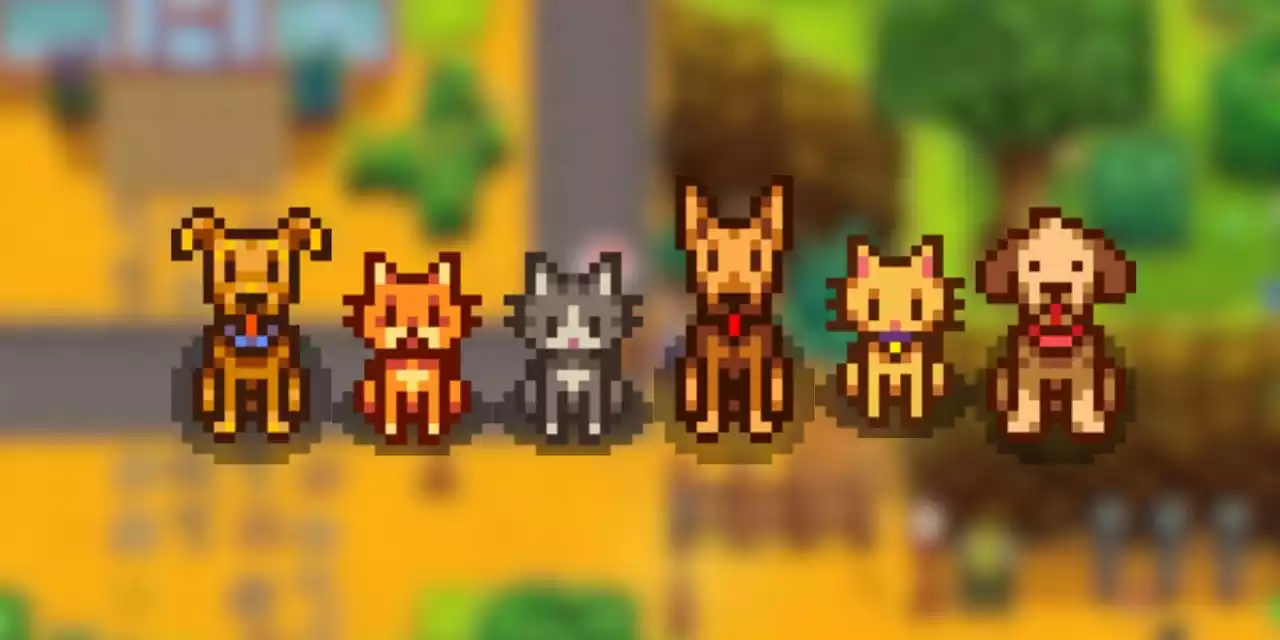 Stardew Valley Como adotar vários Pets