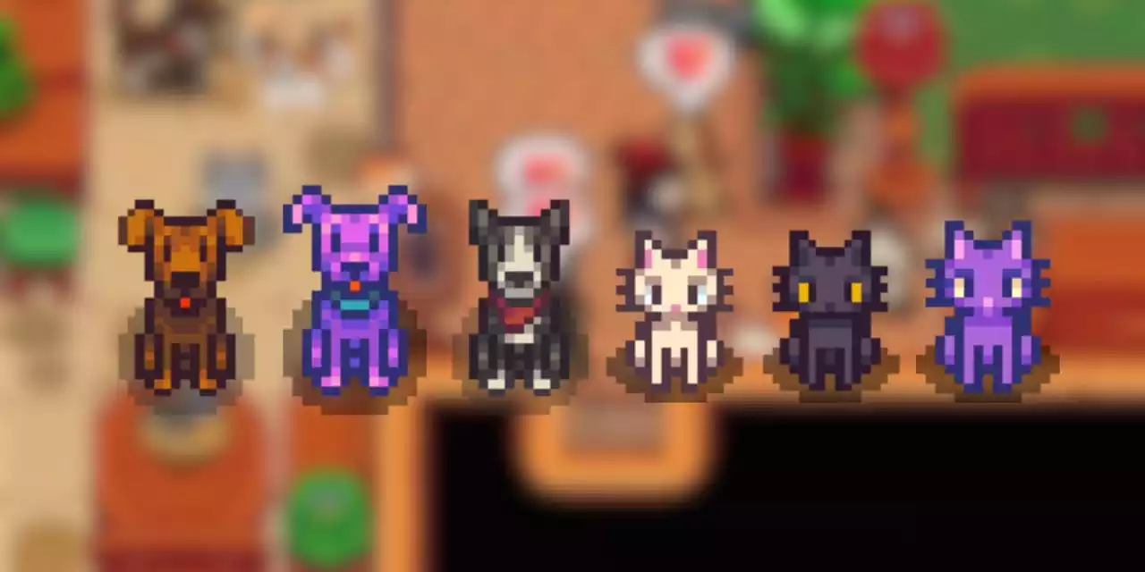 Stardew Valley Como conseguir todos os Pets