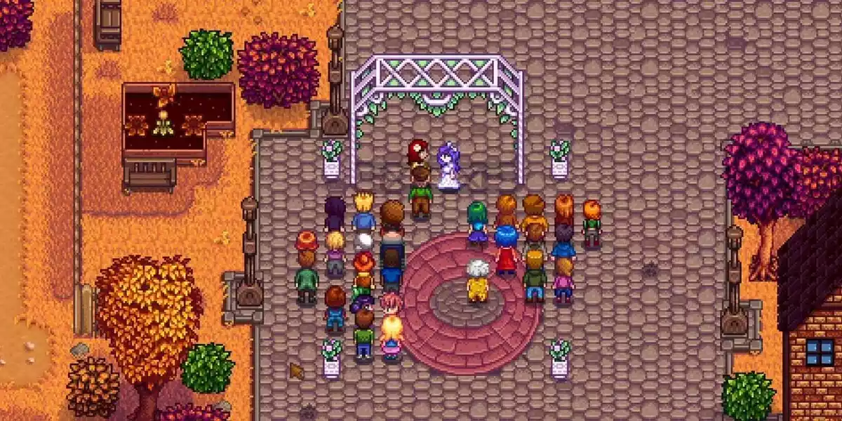 Conheça Pessoas Social Stardew Valley