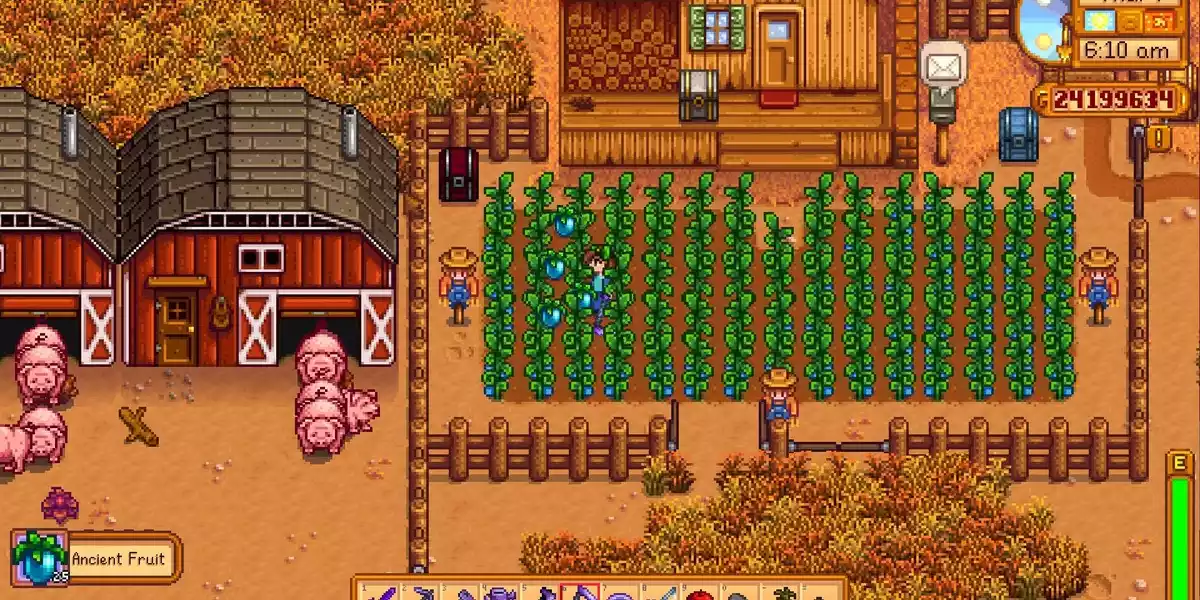 Fruta Antiga Stardew Valley