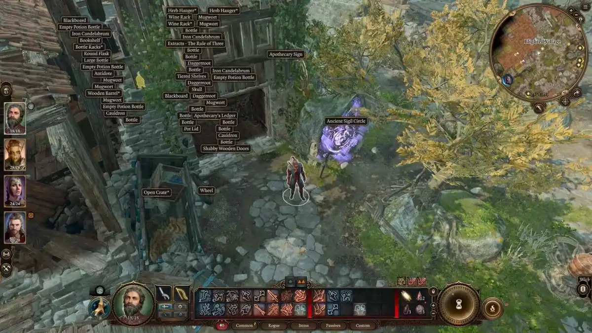 Highlight Everything Mods Baldurs Gate 3