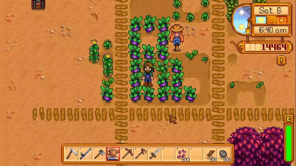 Plantação Berinjela Stardew Valley