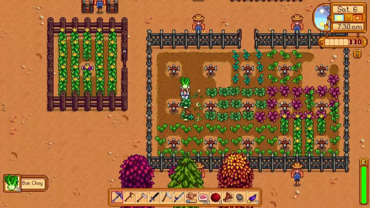 Plantação Couve Chinesa Stardew Valley