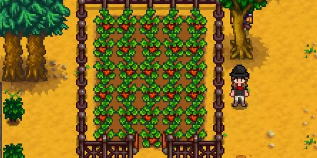 Plantação Morango Stardew Valley