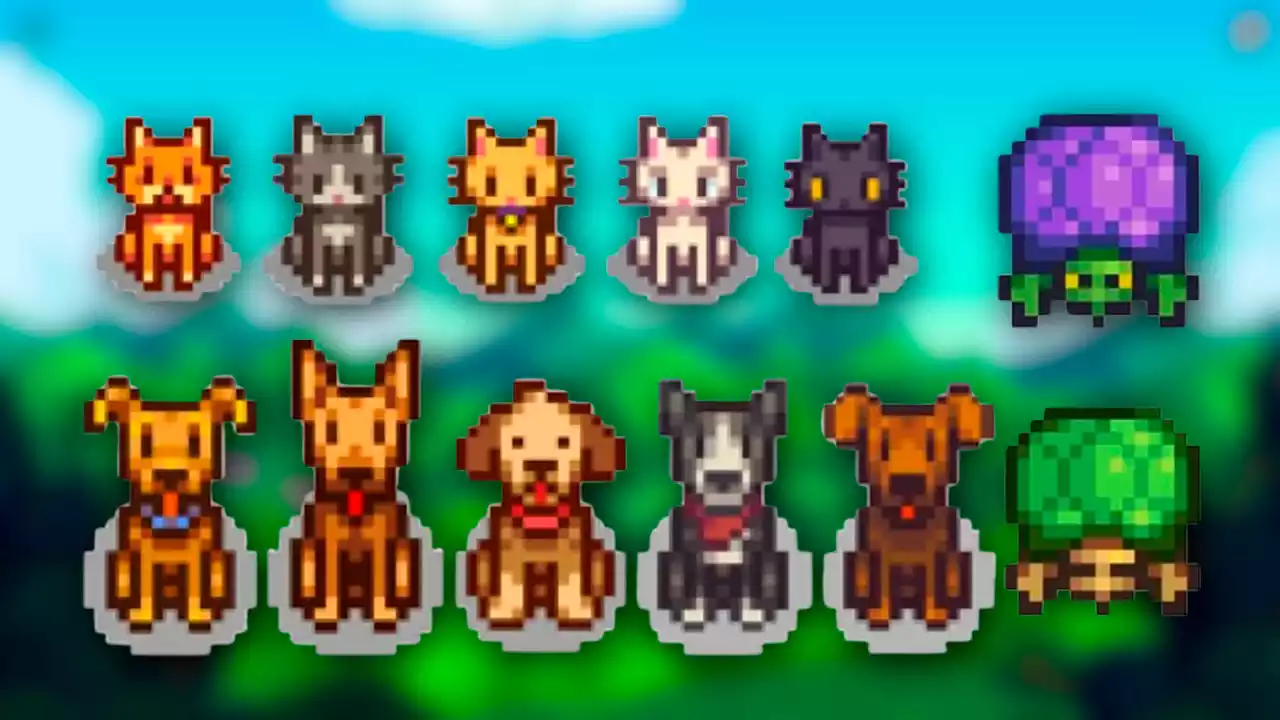 Stardew Valley Como ganhar presentes Animais de Estimação Pets