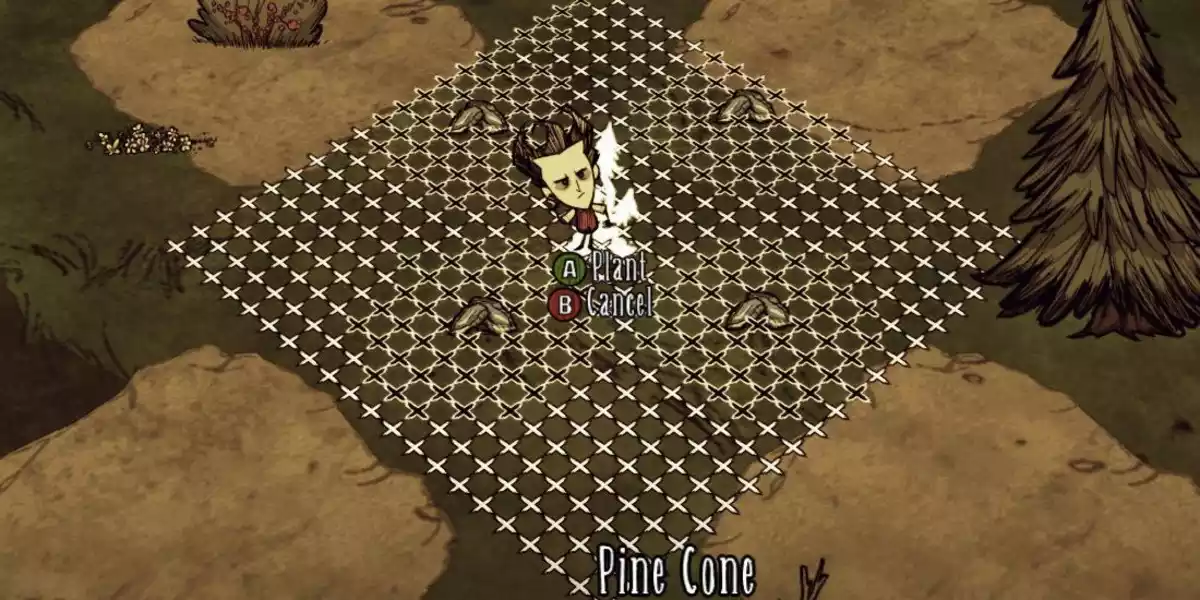 dont starve Geometric placement mod4