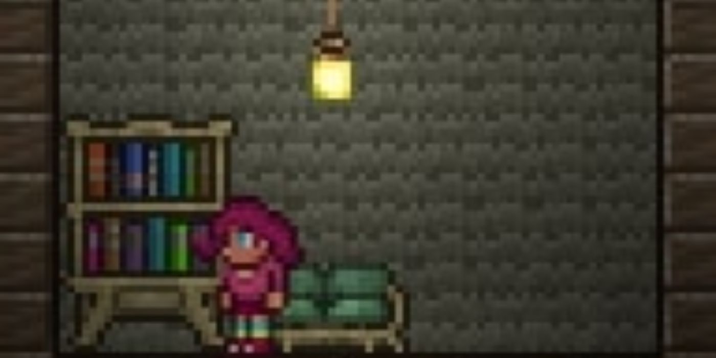 Garota de Festa Como encontrarr npc terraria