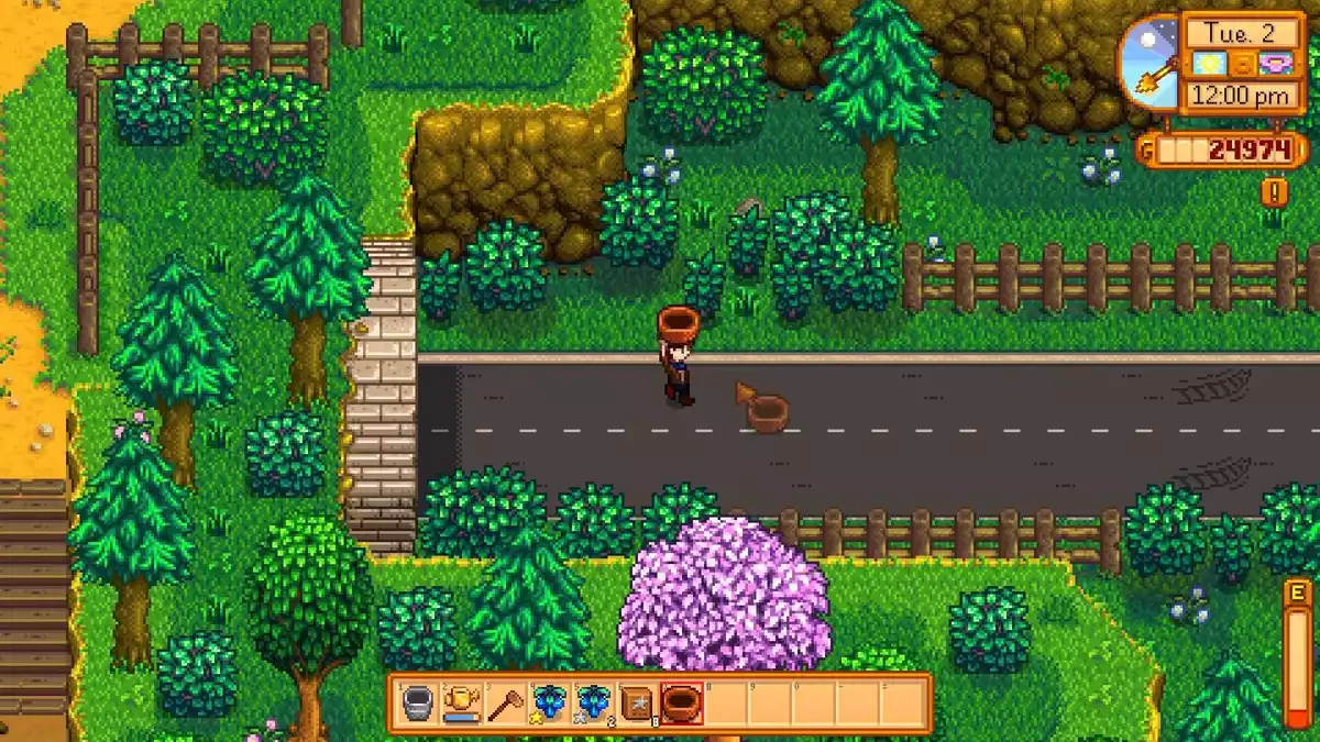 Backwoods Stardew Valley