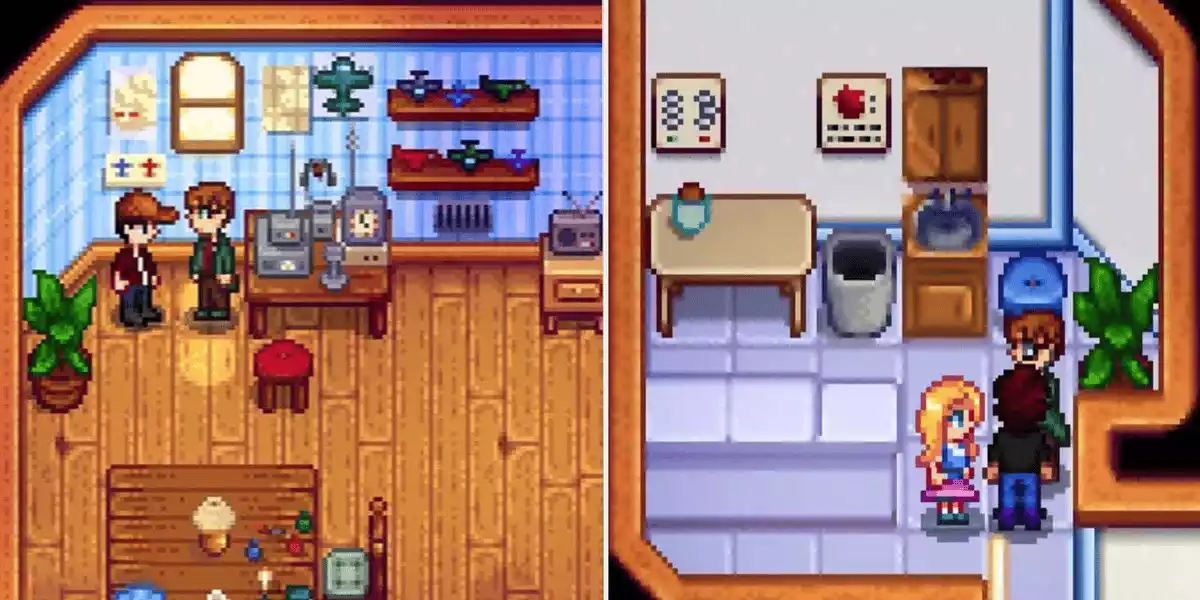 Stardew Valley Harvey at home left and in clinic right2