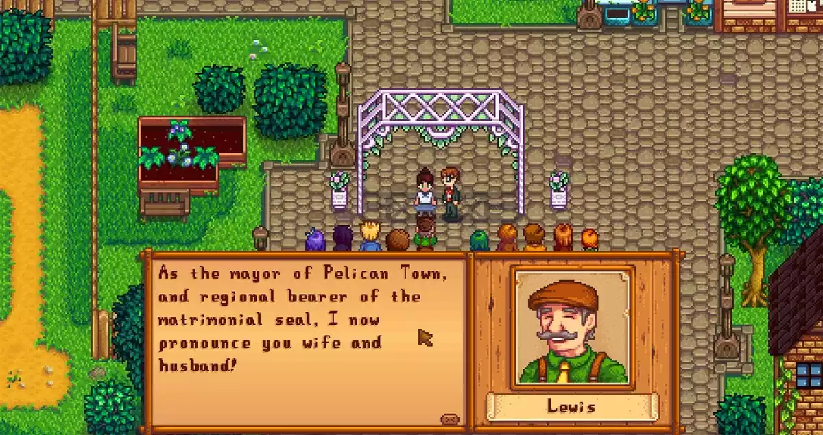 Stardew Valley Marriage