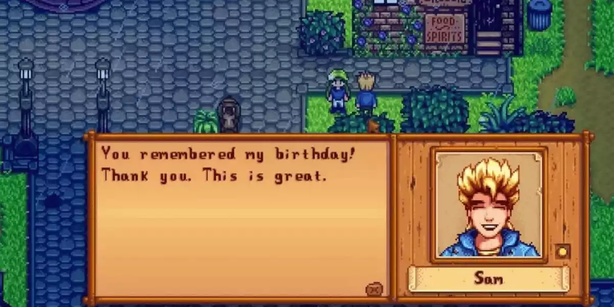 Stardew Valley Sam birthday gift