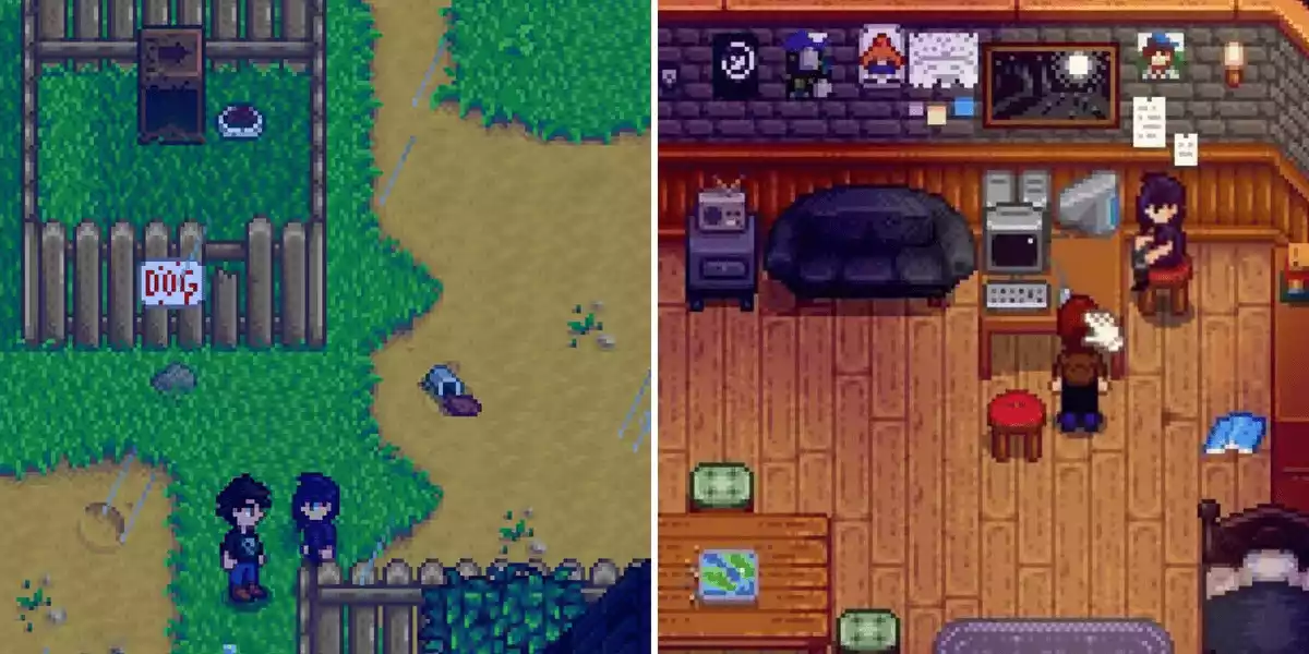 Stardew Valley Sebastian in town left Sebastian at home right