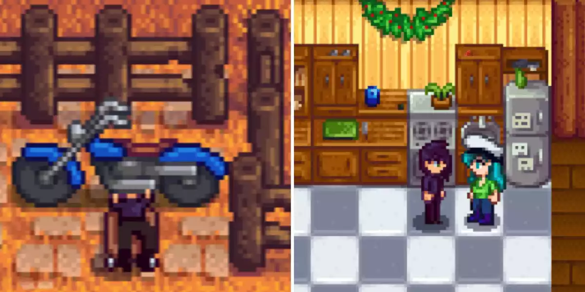 Stardew Valley Sebastians schedule after marriage