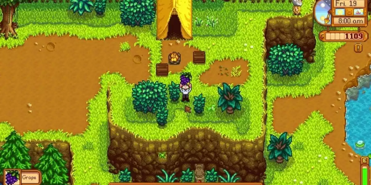 Stardew Valley Summer Foraging Player foraging a grape in the mountains