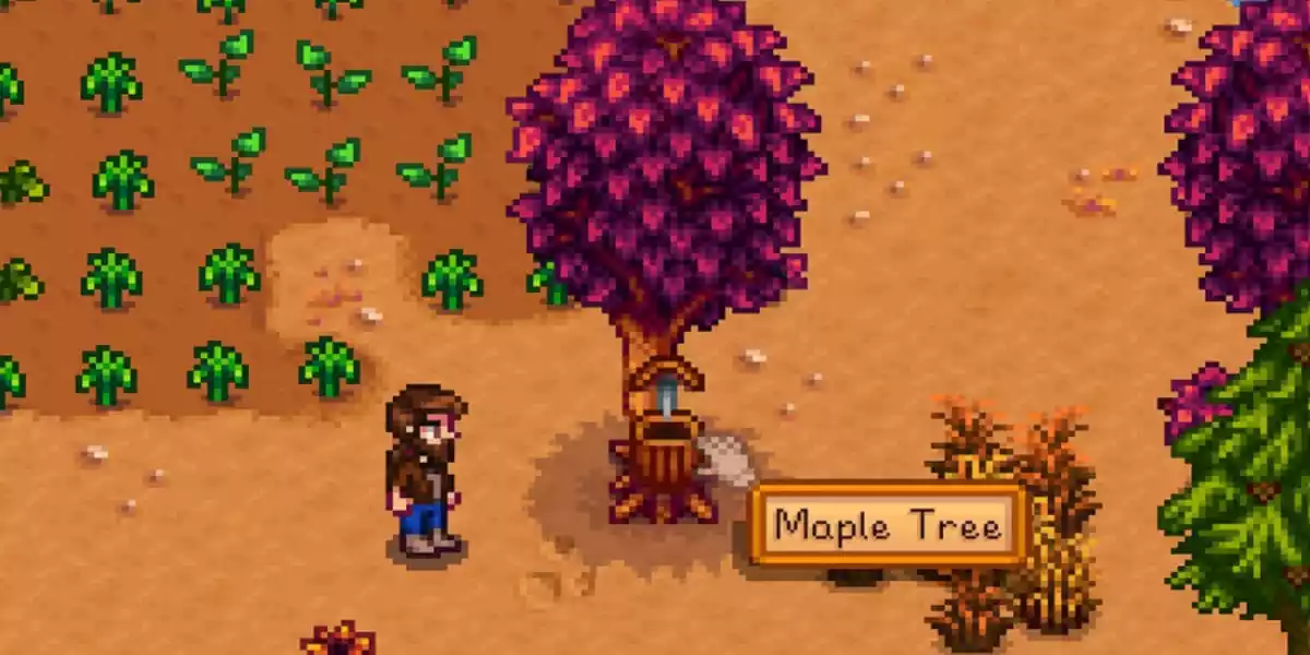 Stardew Valley Tapper On Maple Tree