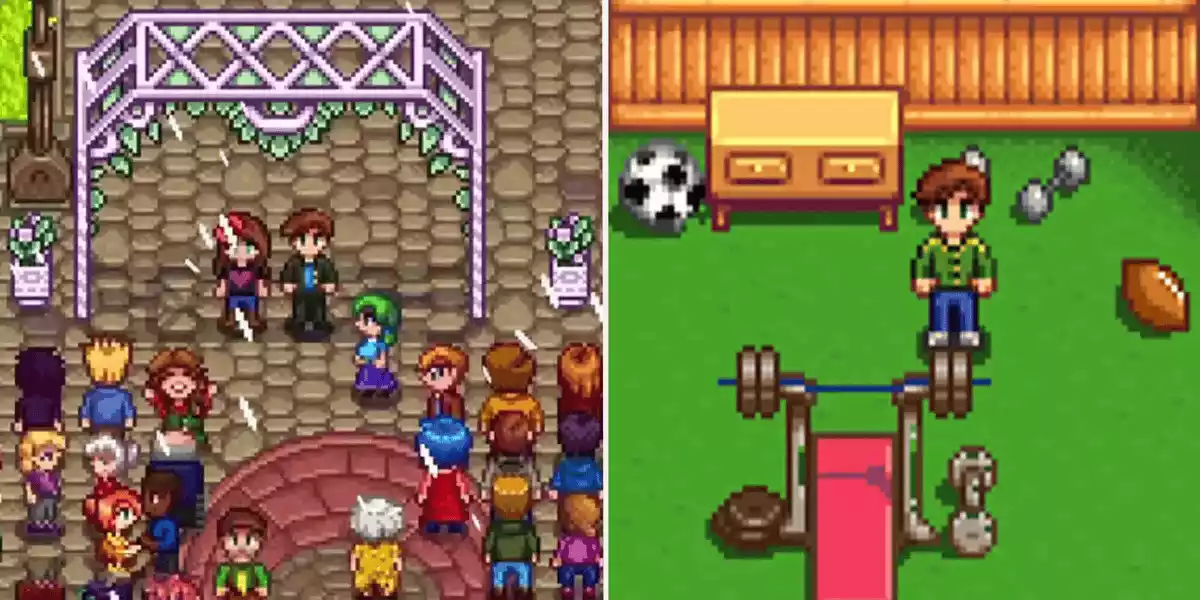 Stardew Valley alex wedding left unique spouse room right2