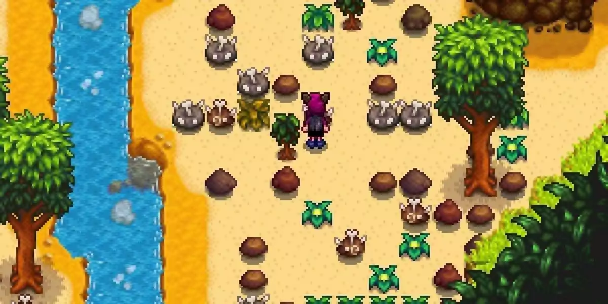 Stardew Valley dig site