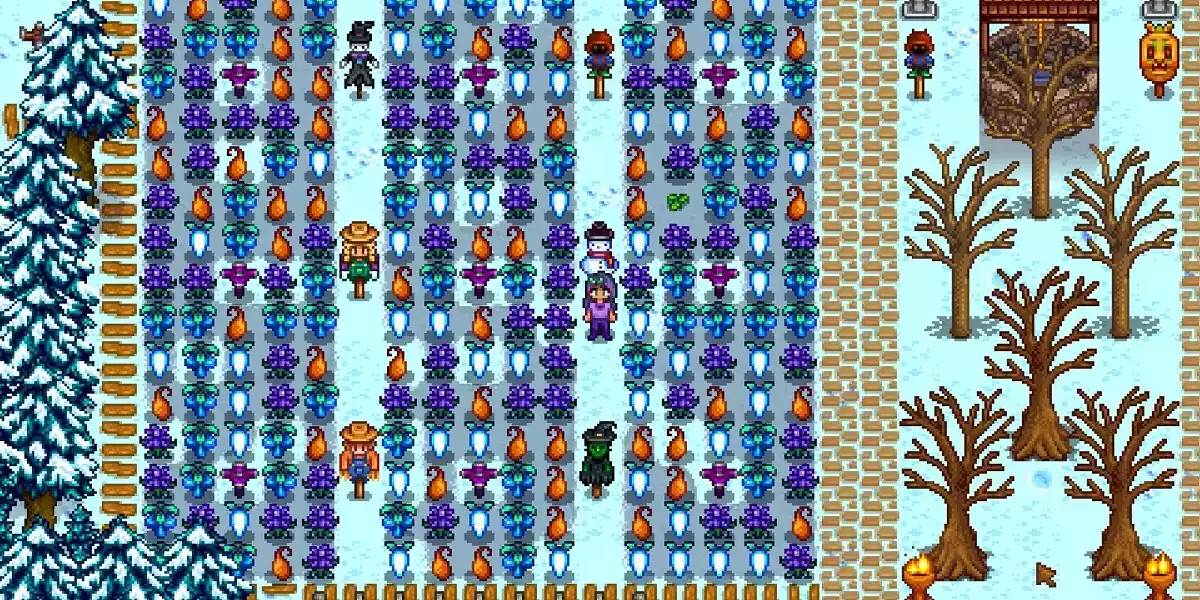 Stardew Valley winter seeds planted