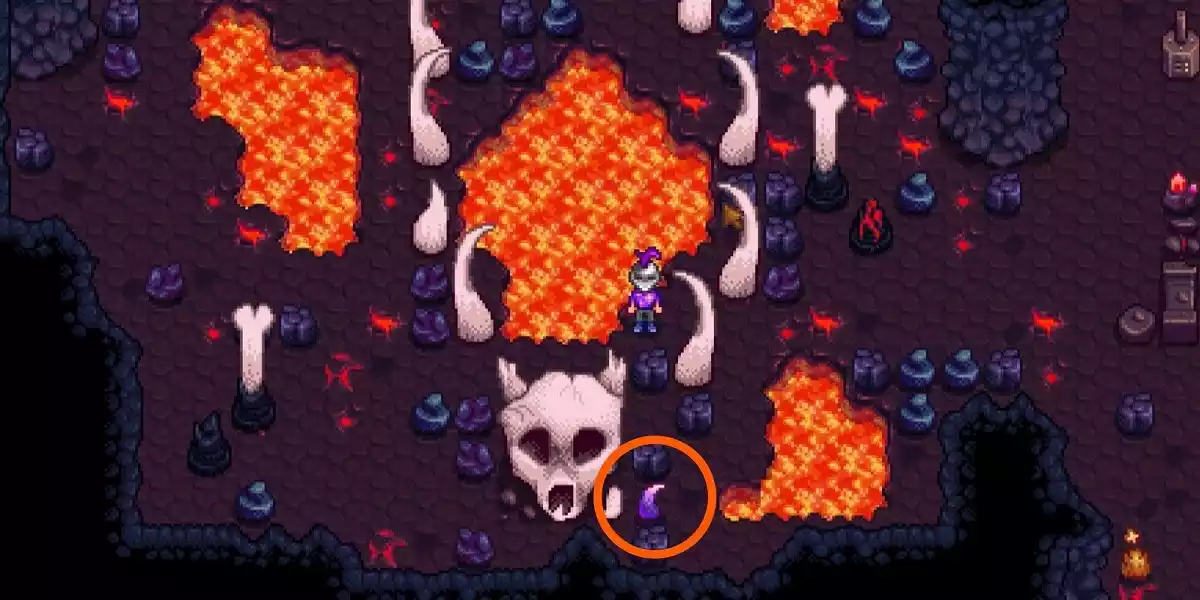 Stardew volcano dragon skeleton