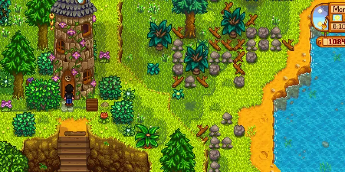 Torre do Bruxo Stardew Valley