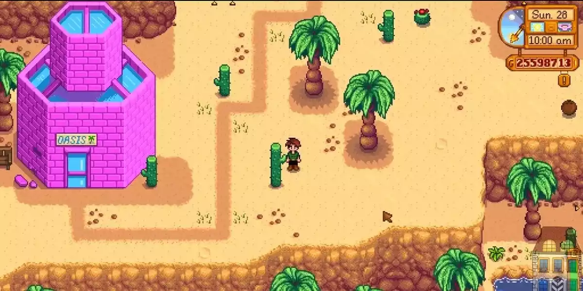 stardew valley calico desert