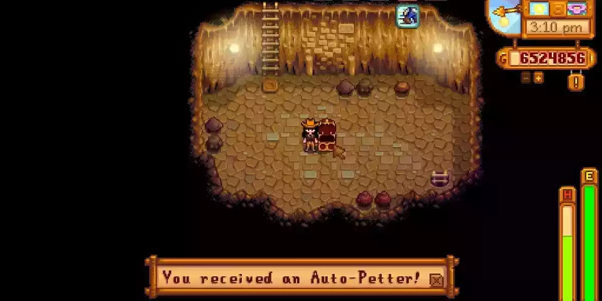 stardew valley cavern auto petter item