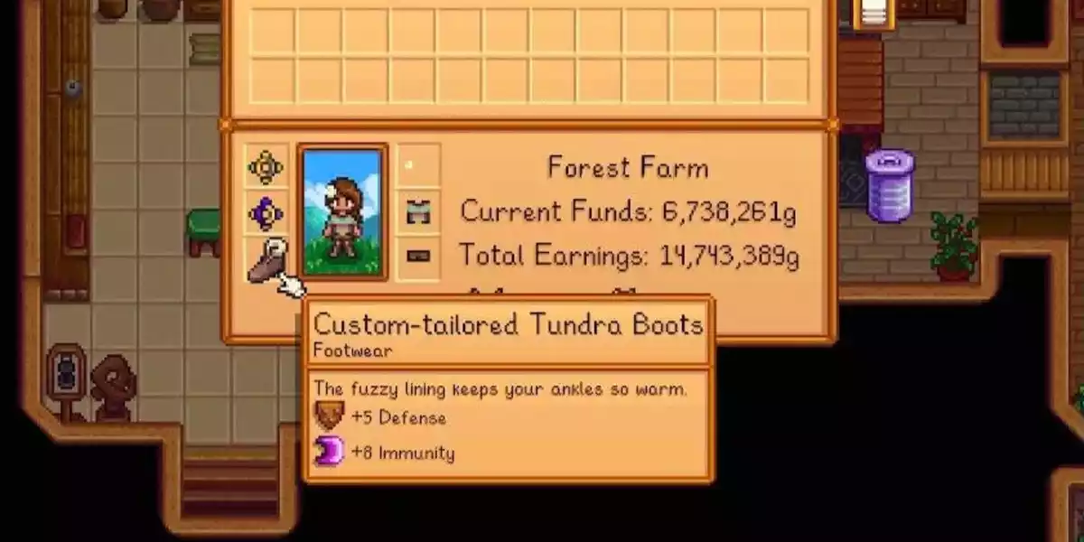 Custom Tailored Boots Stardew Valley