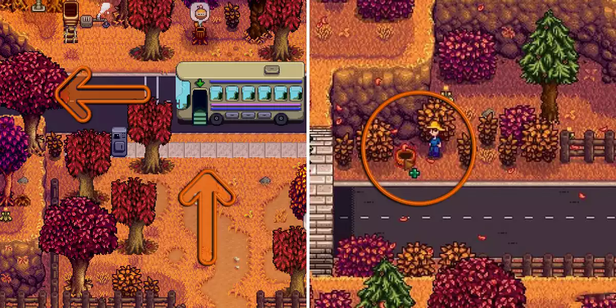 Stardew Valley Directions on how to find Linus Blackberry Basket