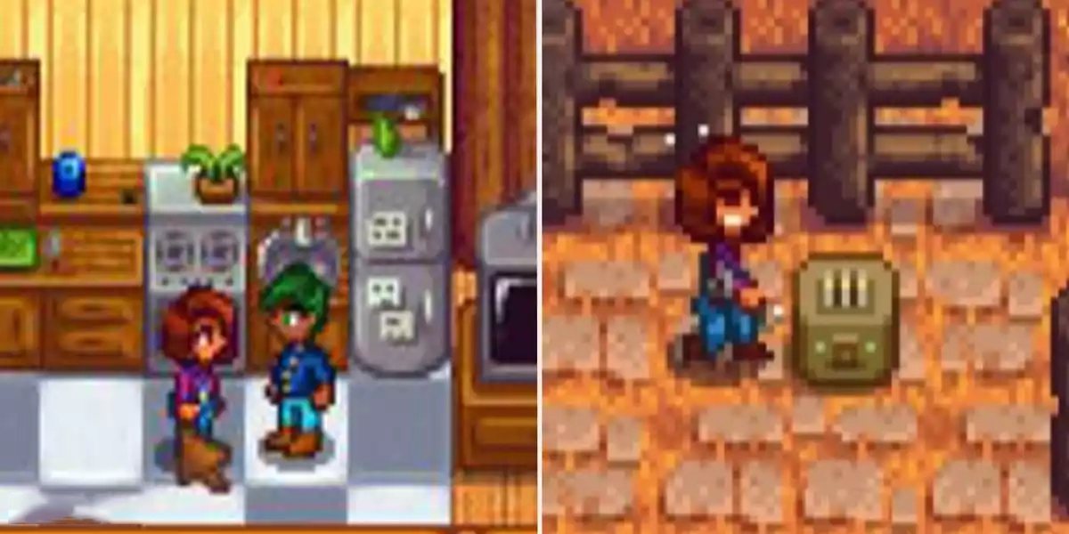 Stardew Valley Maru in farmhouse left Maru in unique outdoor spouse area right