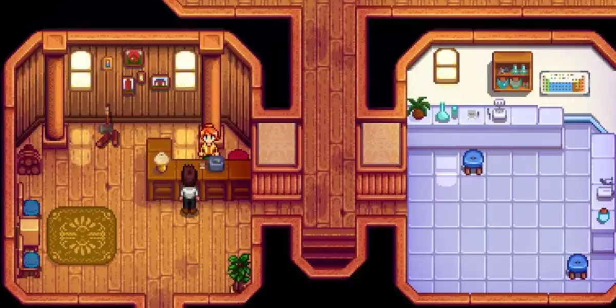 Stardew Valley Robins Shop