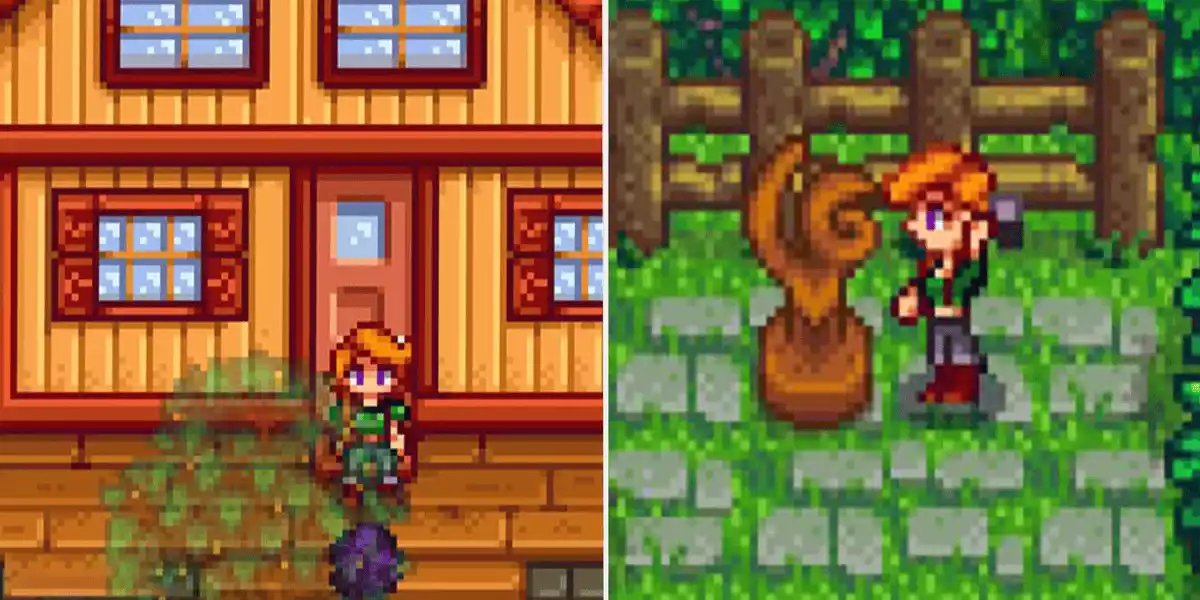 Stardew Valley leah on the farm