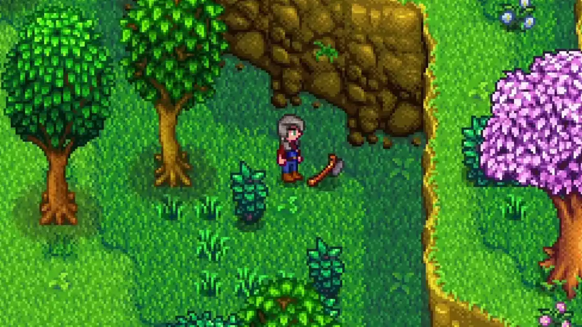 stardew valley local machado perdido robin