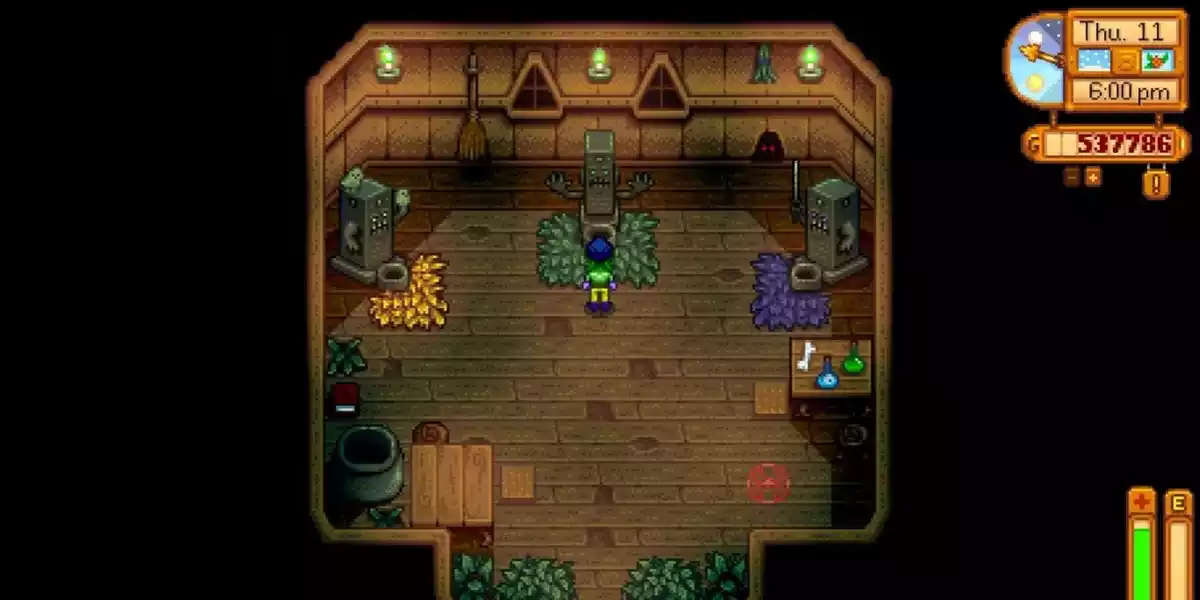 stardew valley witches hut