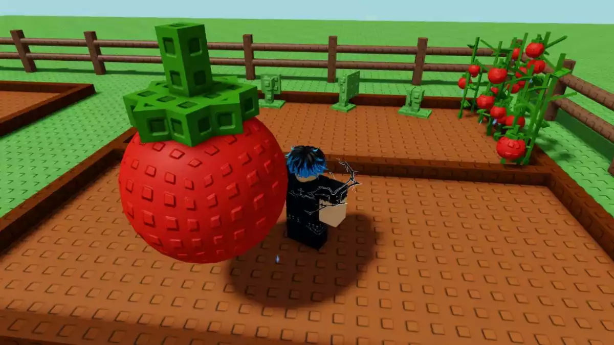 Big Tomato Grow a Garden