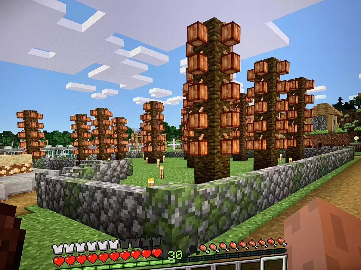 Colheita e Expansão graos de cacau minecraft