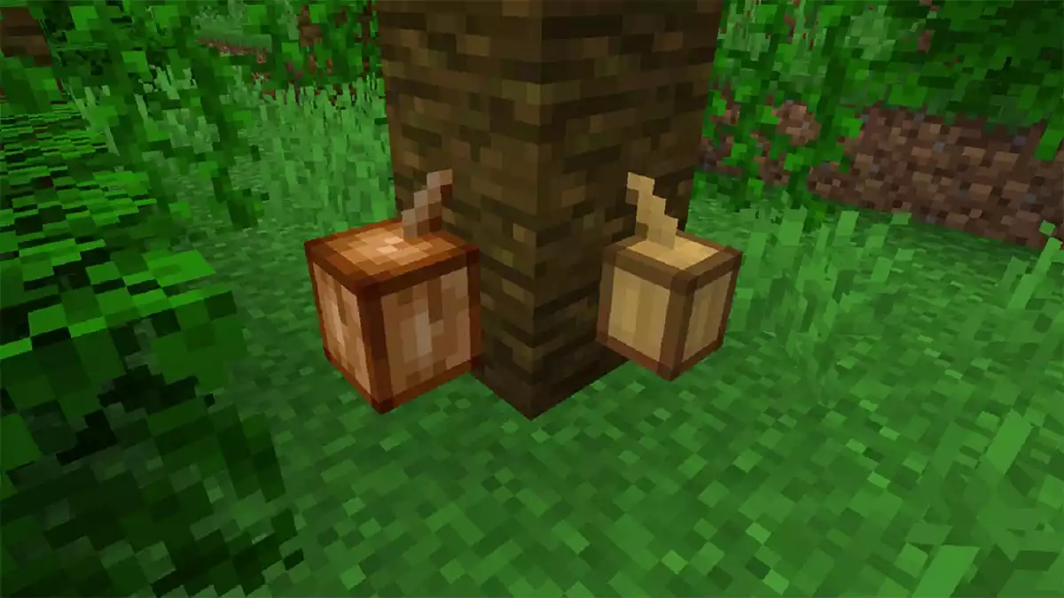 Como Cultivar Grãos de Cacau minecraft