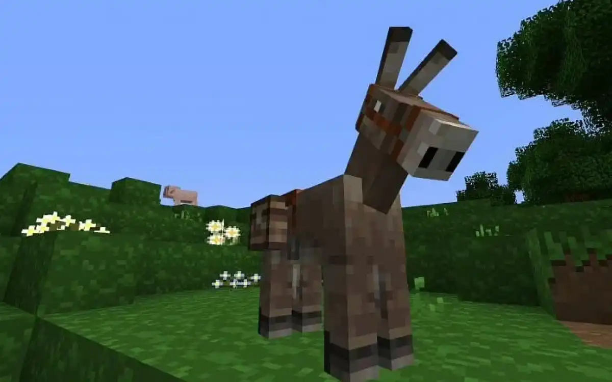 Como criar Burros no Minecraft