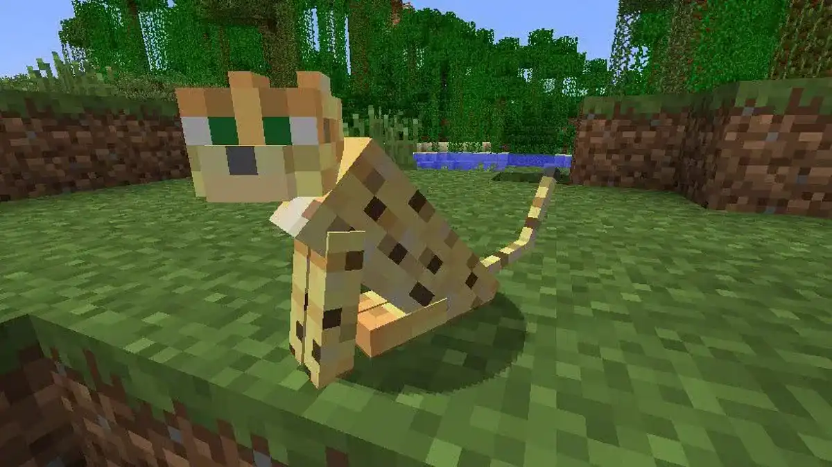 Como criar Jaguatiricas no Minecraft